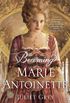 Becoming Marie Antoinette: A Novel (English Edition)