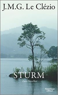 Sturm: Zwei Novellen (German Edition)