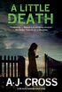 Little Death, A: A forensic cold case mystery (A Kate Hanson Mystery Book 3) (English Edition)