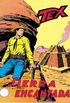Tex #102: Sierra Encantada