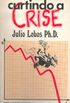 Curtindo A Crise (Portuguese Edition)