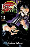 Demon Slayer: Kimetsu No Yaiba #13