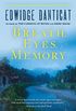 Breath, Eyes, Memory (English Edition)