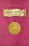 Harry Potter e o Cálice De Fogo