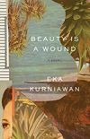 Beauty Is a Wound (English Edition)