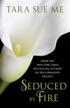 Seduced By Fire: A Partners In Play Novel (English Edition)