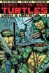 Teenage Mutant Ninja Turtles - Volume 1