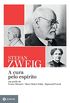 A cura pelo esprito: Em perfis de Franz Mesmer, Mary Baker Eddy e Sigmund Freud (Stefan Zweig na Zahar)