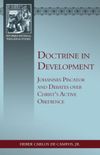 Doctrine in Development