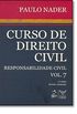 Curso De Direito Civil. Responsabilidade Civil - Volume 7