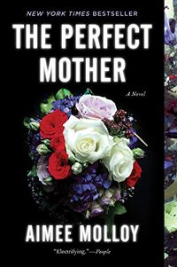The Perfect Mother: A Novel (English Edition)