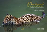 Pantanal: cores e sentimentos