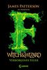 Witch & Wizard 3 - Verborgenes Feuer (German Edition)