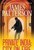 Private India: City on Fire (English Edition)