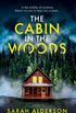 The Cabin in the Woods (English Edition)