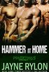 Hammer it Home: A Bisexual Menage Romance (Powertools Book 6) (English Edition)
