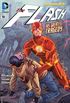 The Flash #19 - Os novos 52