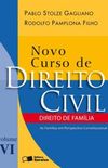 Novo Curso de Direito Civil - Vol. VI