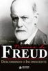 Teorias de Freud