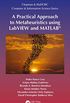 A Practical Approach to Metaheuristics using LabVIEW and MATLAB (Chapman & Hall/CRC Computer and Information Science Series) (English Edition)