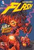The Flash #23 - Os novos 52