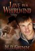 Love is a Whirlwind (Shifters Book 2) (English Edition)
