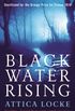 Black Water Rising (Jay Porter Book 1) (English Edition)