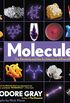 Molecules: The Elements and the Architecture of Everything (English Edition)