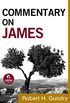 Commentary on James (Commentary on the New Testament Book #16) (English Edition)
