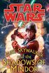 Luke Skywalker and the Shadows of Mindor: Star Wars Legends (Star Wars - Legends) (English Edition)