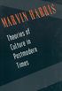 Theories of Culture in Postmodern Times (Communities) (English Edition)