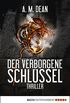 Der verborgene Schlssel: Thriller (German Edition)