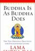 Buddha is as Buddha does