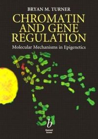 chromatin and gene regulation