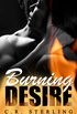 Burning Desire (German Edition)