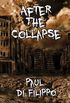 After the Collapse (English Edition)