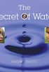 The Secret of Water (English Edition)