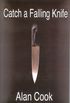 Catch a Falling Knife (Lillian Morgan Book 2) (English Edition)