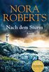 Nach dem Sturm: Roman (German Edition)