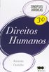Direitos Humanos - Volume 30. Coleo Sinopses Jurdicas