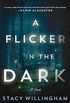 A Flicker in the Dark: A Novel (English Edition)