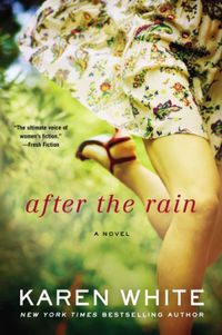 After the Rain (A Falling Home Novel) (English Edition)