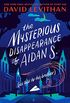 The Mysterious Disappearance of Aidan S. (as told to his brother) (English Edition)