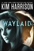 Waylaid (Kindle Single) (English Edition)