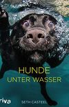 Hunde unter Wasser (German Edition)