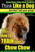 Chow Chow, Chow Chow Training | Think Like a Dog, But Dont Eat Your Poop!