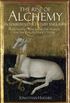 The rise of alchemy in fourteenth-century England