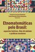 Etnomatemticas pelo Brasil