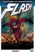 Flash: Renascimento - Volume 5