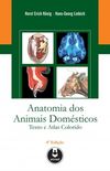 Anatomia dos animais domsticos